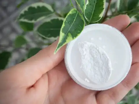 SPF & Sun Care