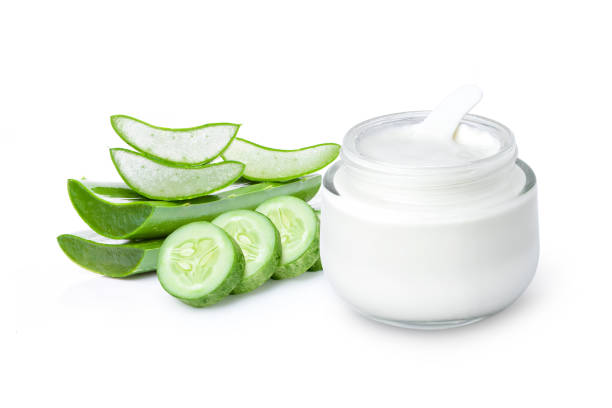 Botani Aloe Vera Moisture Cream – Face & Body (9 oz)