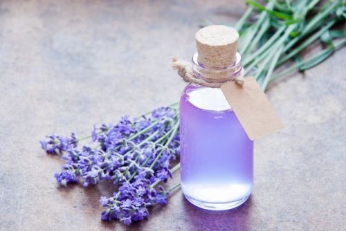 Botani Lavender Hydrosol Mist - Floral Toner (32 oz)