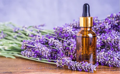 Botani Lavender Hydrosol Mist - Floral Toner (32 oz)